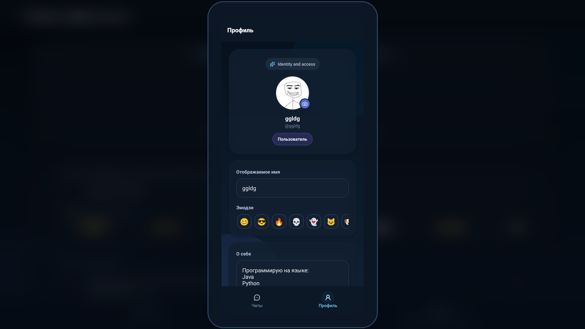 Профиль пользователя Fire Messenger
